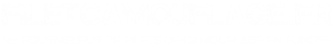 filetcamouflage.fr